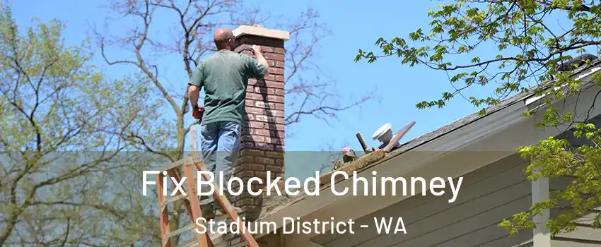 Fix Blocked Chimney Stadium District - WA