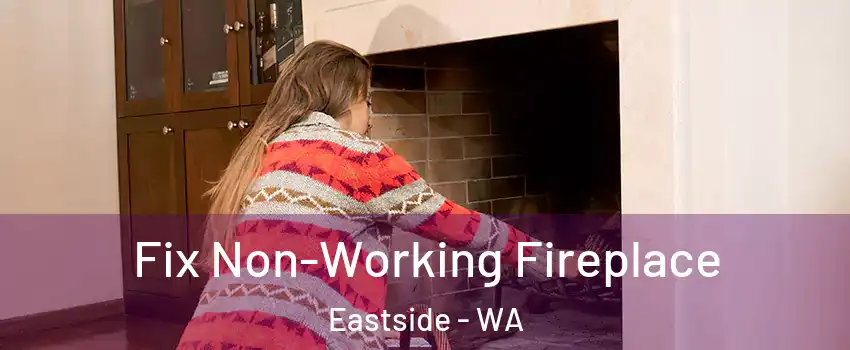 Fix Non-Working Fireplace Eastside - WA