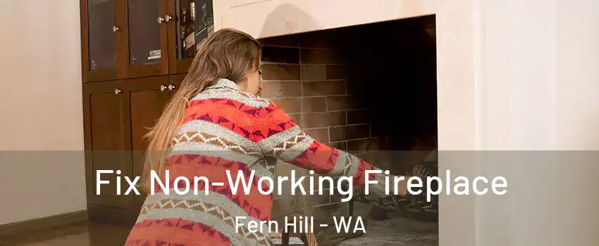 Fix Non-Working Fireplace Fern Hill - WA