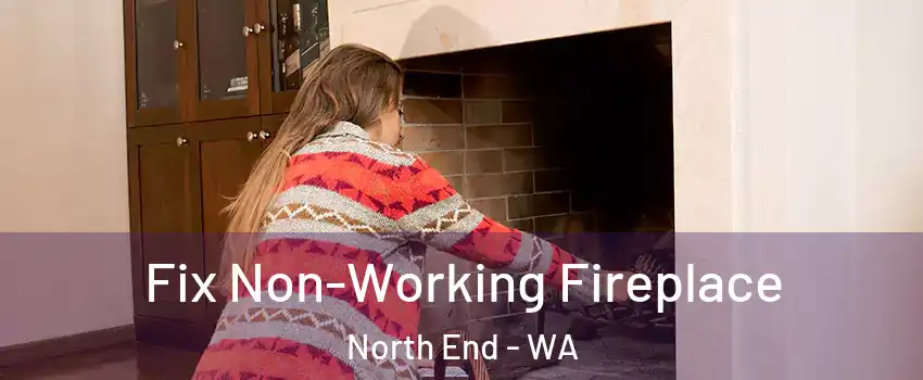 Fix Non-Working Fireplace North End - WA