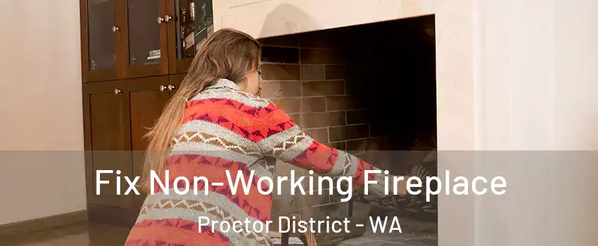 Fix Non-Working Fireplace Proctor District - WA