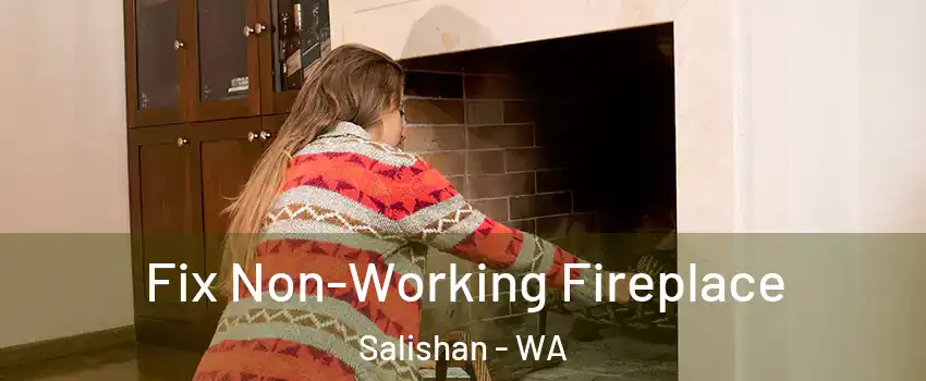 Fix Non-Working Fireplace Salishan - WA