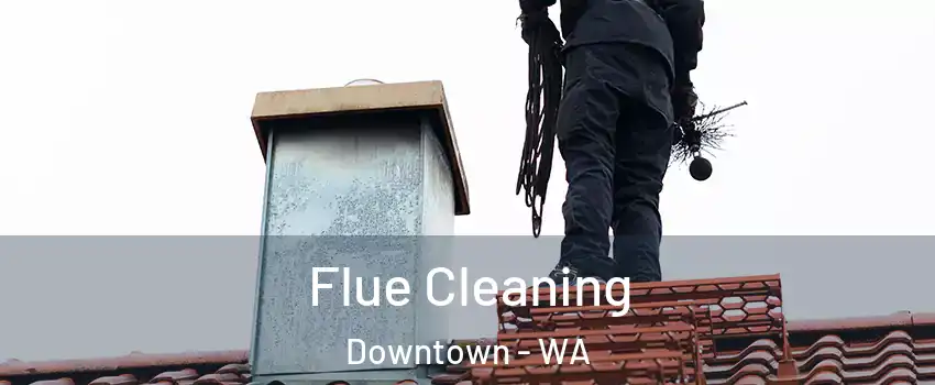 Flue Cleaning Downtown - WA