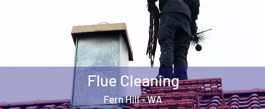 Flue Cleaning Fern Hill - WA