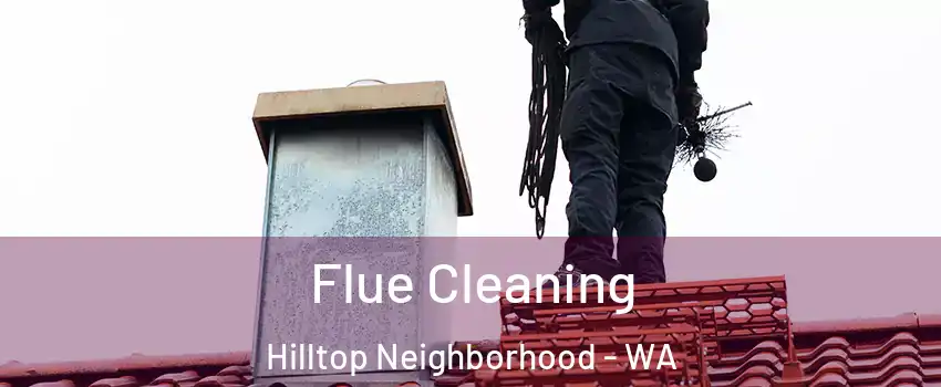 Flue Cleaning Hilltop Neighborhood - WA