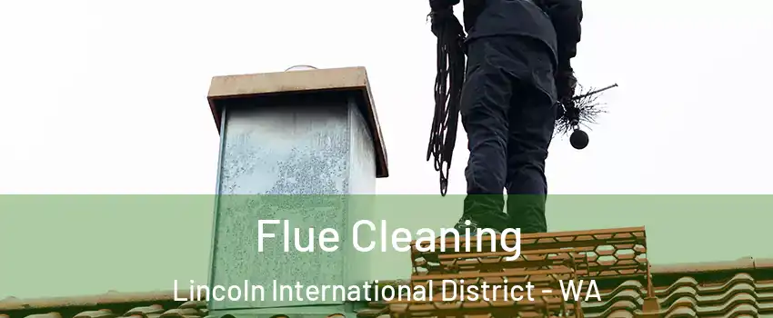 Flue Cleaning Lincoln International District - WA