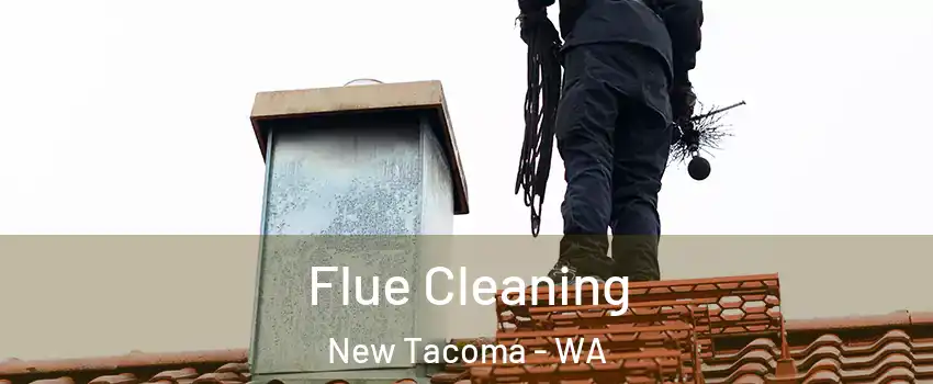 Flue Cleaning New Tacoma - WA