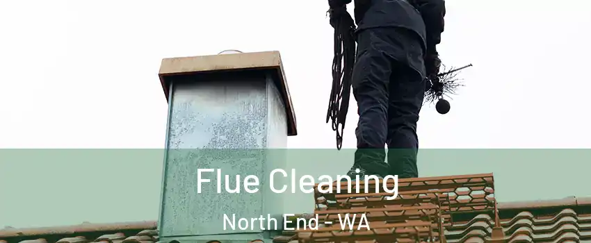 Flue Cleaning North End - WA