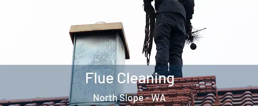 Flue Cleaning North Slope - WA