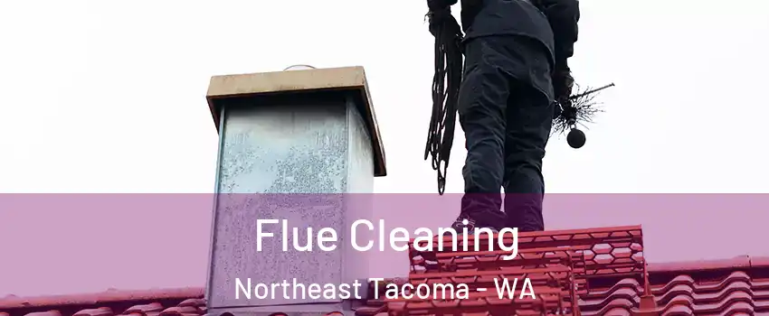 Flue Cleaning Northeast Tacoma - WA