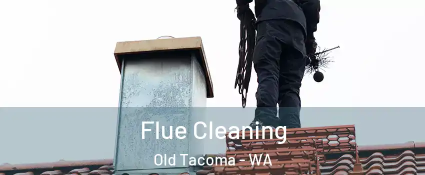 Flue Cleaning Old Tacoma - WA