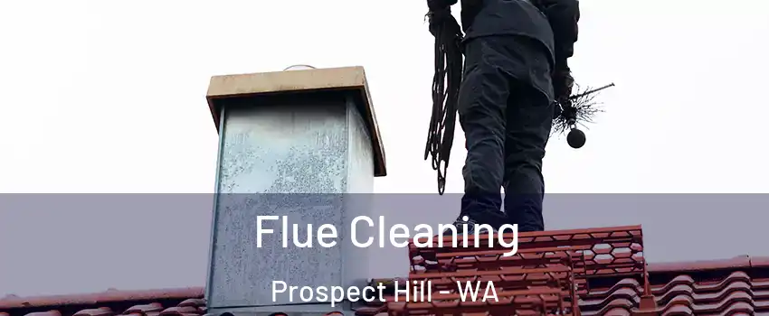 Flue Cleaning Prospect Hill - WA