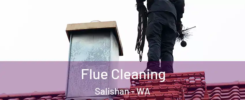 Flue Cleaning Salishan - WA