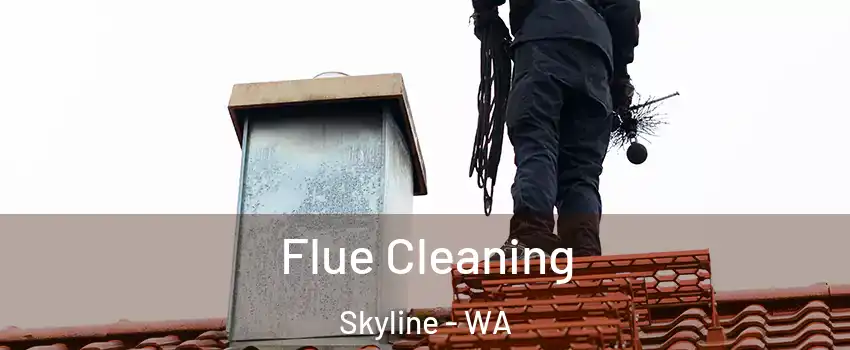 Flue Cleaning Skyline - WA