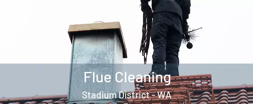 Flue Cleaning Stadium District - WA