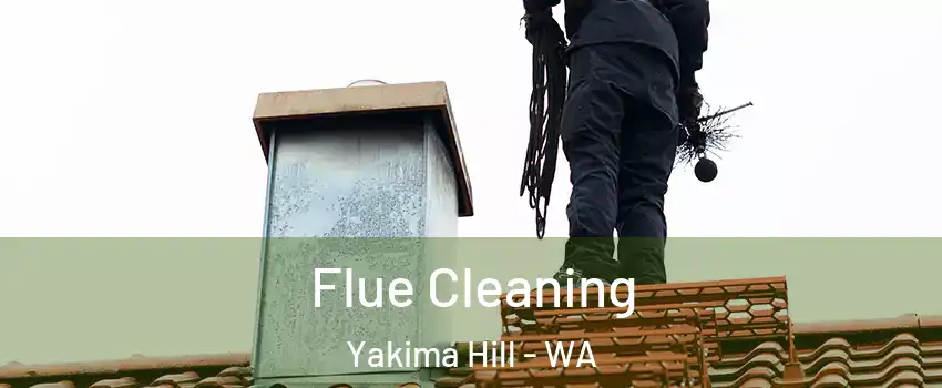 Flue Cleaning Yakima Hill - WA