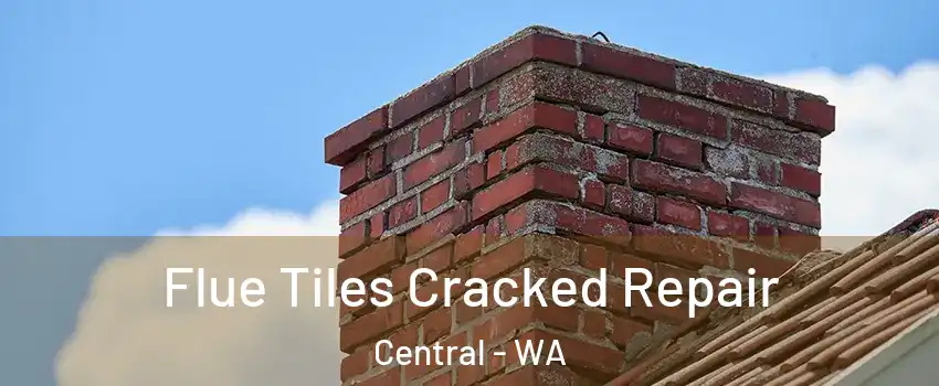 Flue Tiles Cracked Repair Central - WA