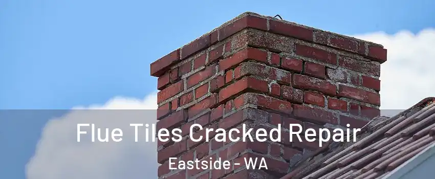 Flue Tiles Cracked Repair Eastside - WA