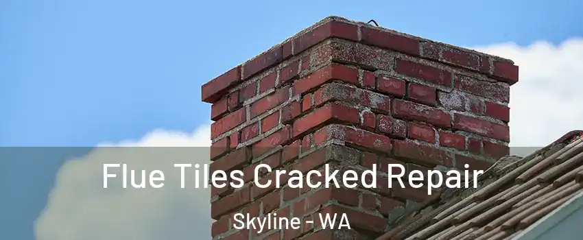 Flue Tiles Cracked Repair Skyline - WA