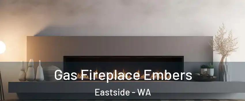 Gas Fireplace Embers Eastside - WA