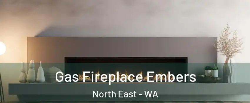 Gas Fireplace Embers North East - WA