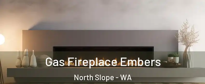 Gas Fireplace Embers North Slope - WA