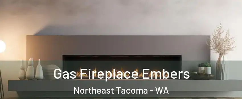 Gas Fireplace Embers Northeast Tacoma - WA