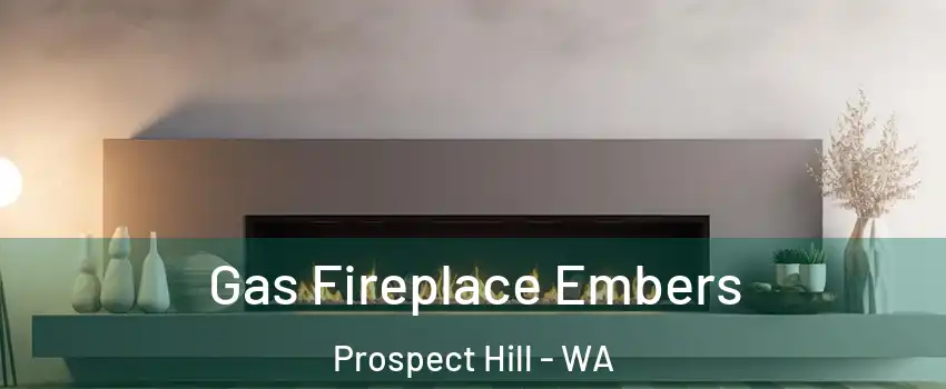 Gas Fireplace Embers Prospect Hill - WA