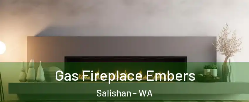 Gas Fireplace Embers Salishan - WA