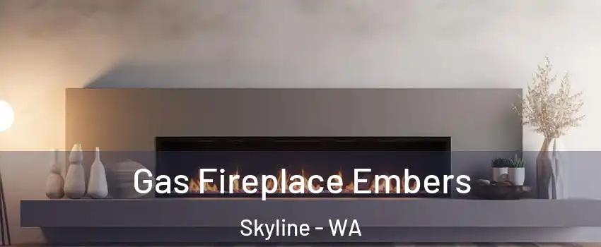 Gas Fireplace Embers Skyline - WA