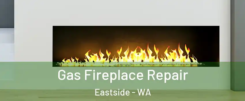 Gas Fireplace Repair Eastside - WA