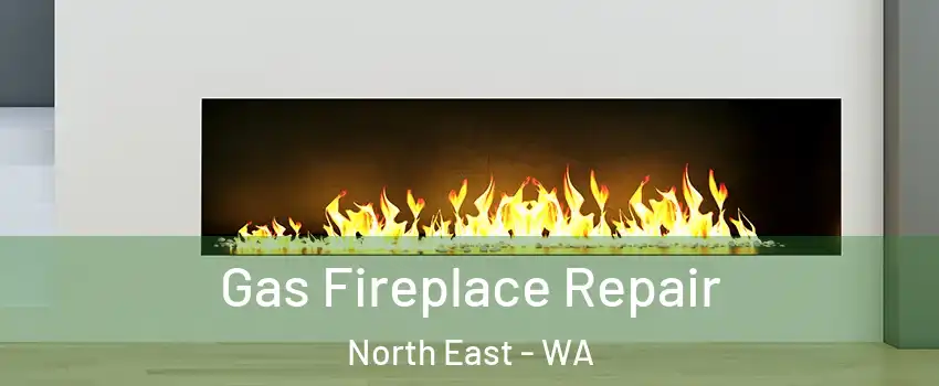 Gas Fireplace Repair North East - WA