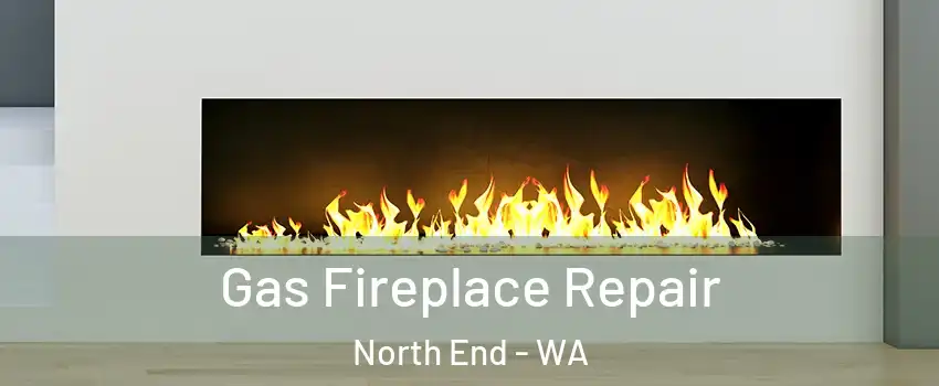 Gas Fireplace Repair North End - WA