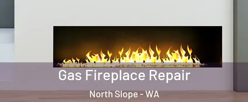 Gas Fireplace Repair North Slope - WA