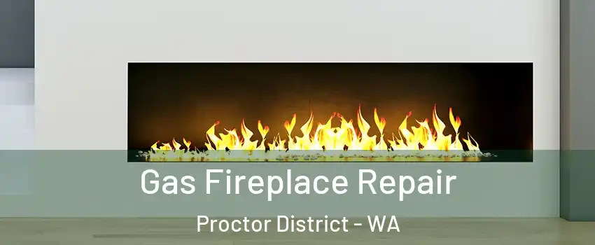 Gas Fireplace Repair Proctor District - WA