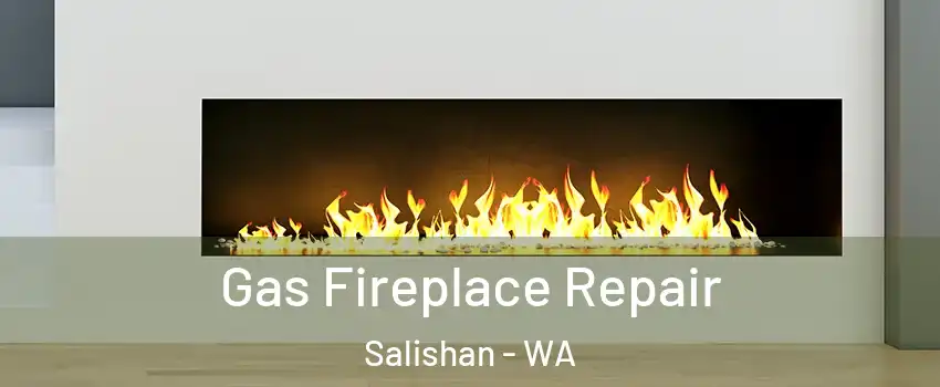 Gas Fireplace Repair Salishan - WA