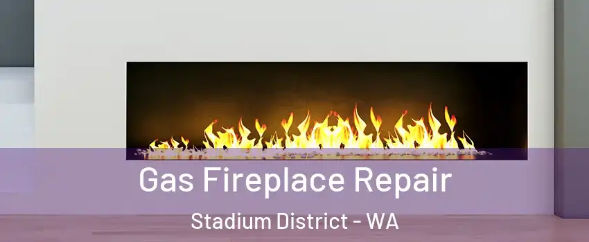 Gas Fireplace Repair Stadium District - WA