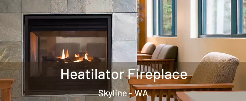 Heatilator Fireplace Skyline - WA