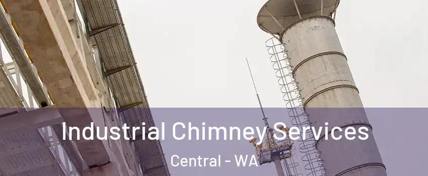 Industrial Chimney Services Central - WA