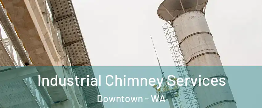 Industrial Chimney Services Downtown - WA