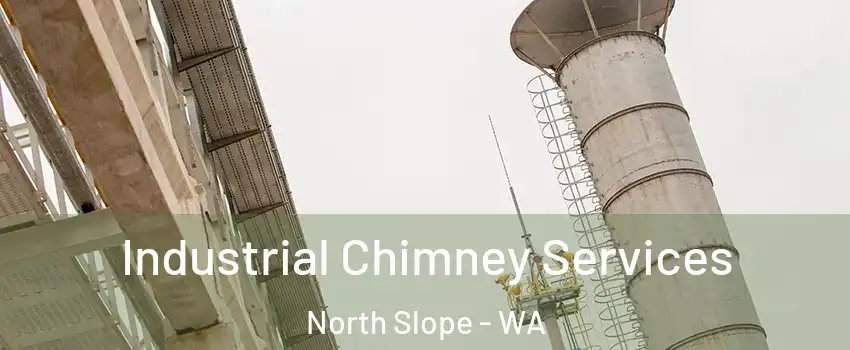 Industrial Chimney Services North Slope - WA