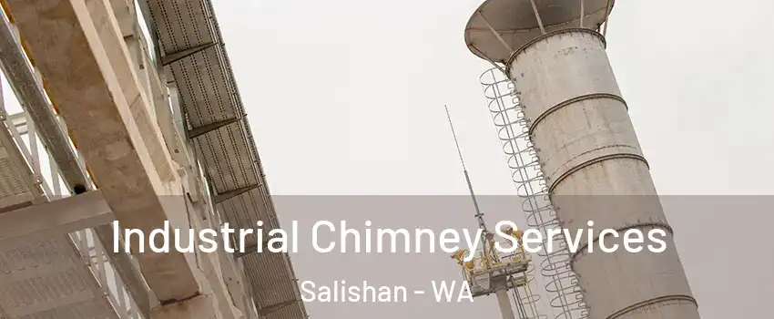 Industrial Chimney Services Salishan - WA