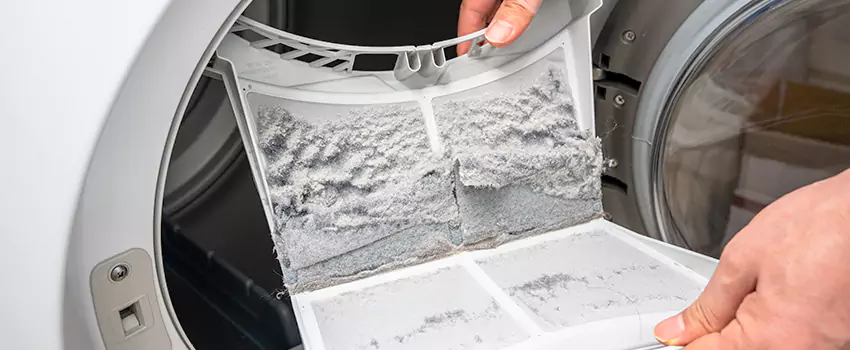 Best Dryer Lint Removal Company in South Tacoma, Washington