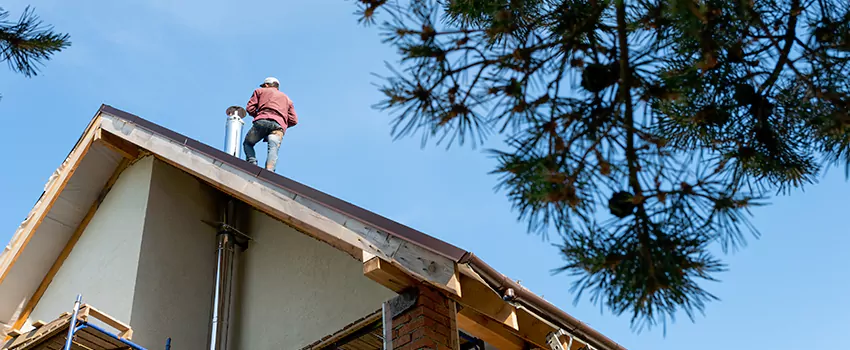 Birds Removal Contractors from Chimney in Downtown, WA