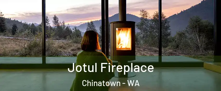 Jotul Fireplace Chinatown - WA