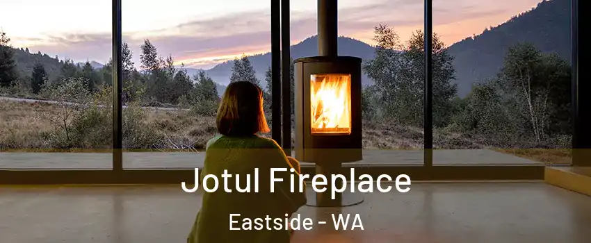 Jotul Fireplace Eastside - WA