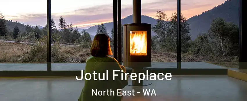 Jotul Fireplace North East - WA