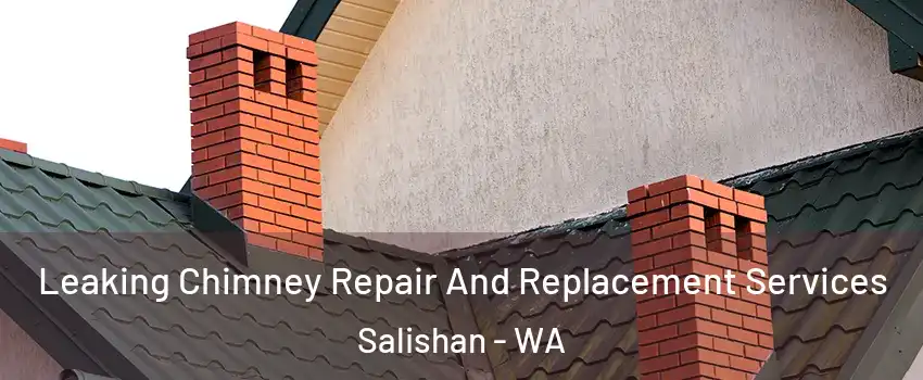 Leaking Chimney Repair And Replacement Services Salishan - WA