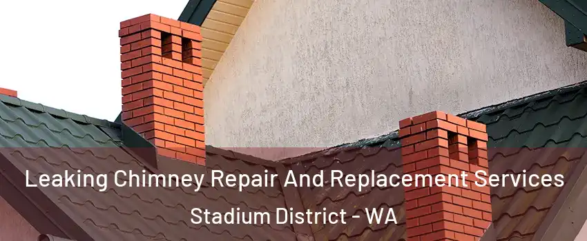 Leaking Chimney Repair And Replacement Services Stadium District - WA