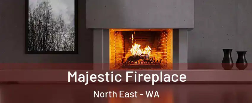 Majestic Fireplace North East - WA